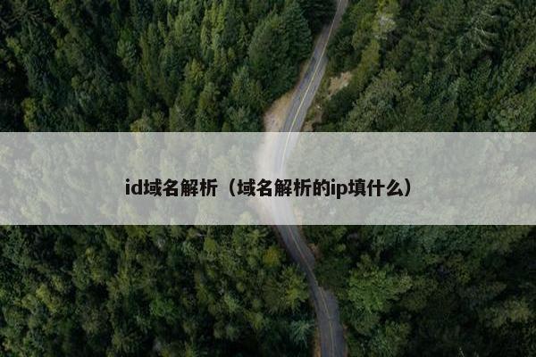 id域名解析（域名解析的ip填什么）