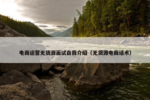 电商运营无货源面试自我介绍（无货源电商话术）