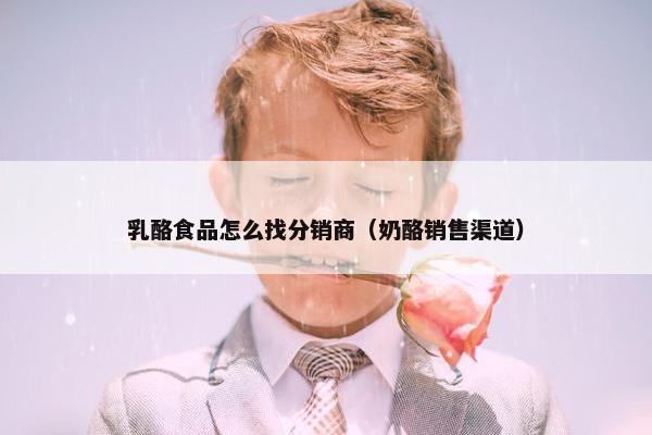 乳酪食品怎么找分销商（奶酪销售渠道）