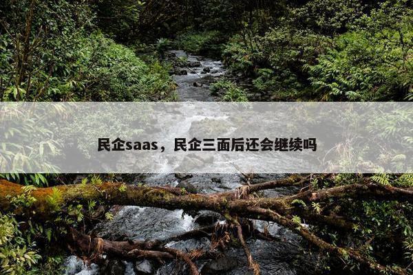 民企saas，民企三面后还会继续吗