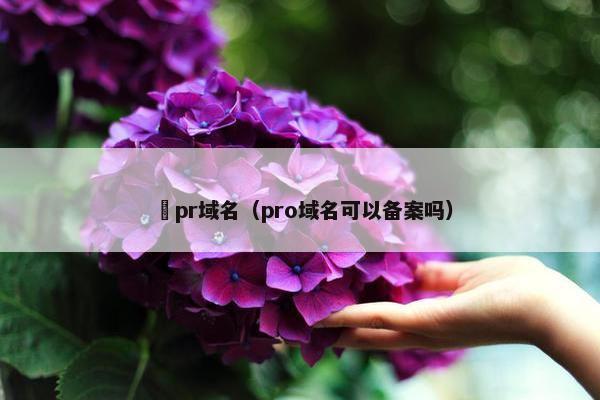 買pr域名（pro域名可以备案吗）
