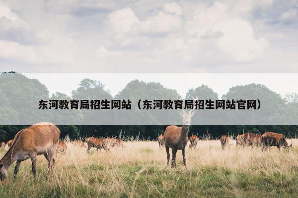 东河教育局招生网站（东河教育局招生网站官网）