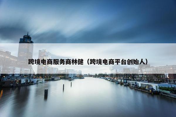 跨境电商服务商林健（跨境电商平台创始人）