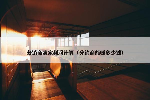 分销商卖家利润计算（分销商能赚多少钱）
