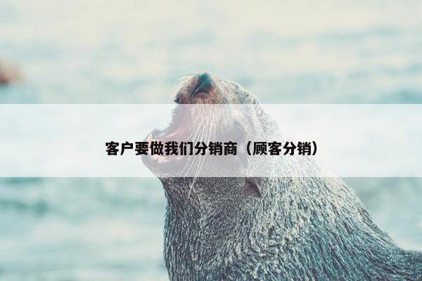 客户要做我们分销商（顾客分销）
