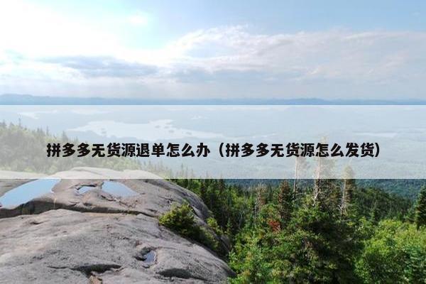 拼多多无货源退单怎么办（拼多多无货源怎么发货）