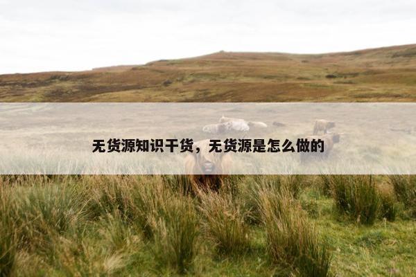 无货源知识干货，无货源是怎么做的
