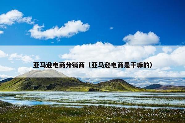 亚马逊电商分销商（亚马逊电商是干嘛的）
