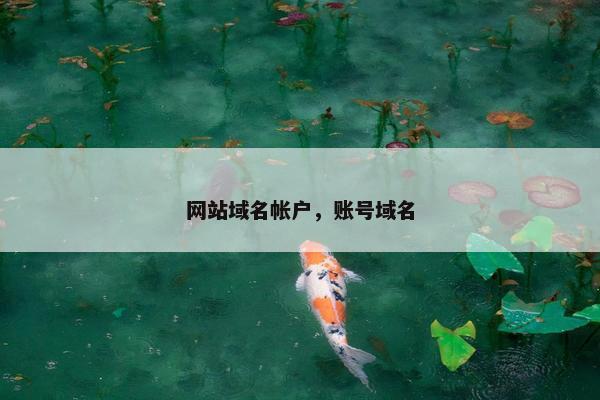 网站域名帐户，账号域名