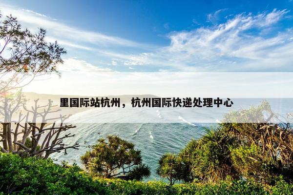 里国际站杭州，杭州国际快递处理中心