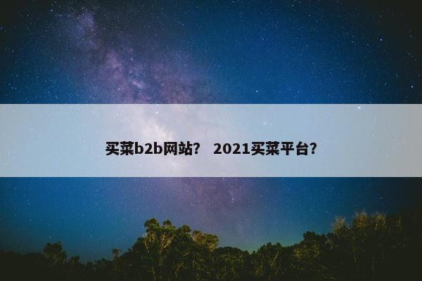 买菜b2b网站？ 2021买菜平台？