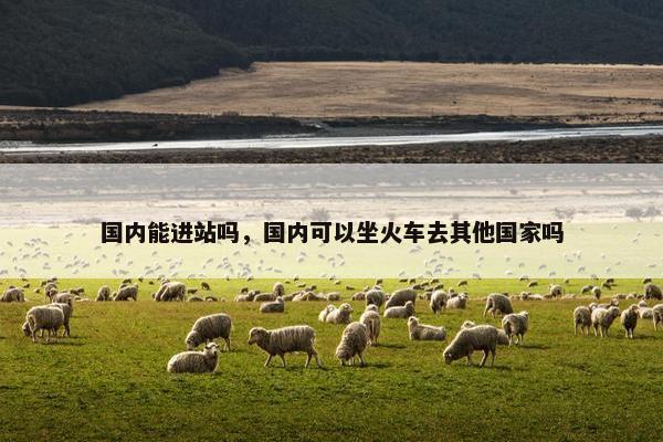 国内能进站吗，国内可以坐火车去其他国家吗