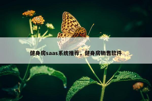 健身房saas系统推荐，健身房销售软件