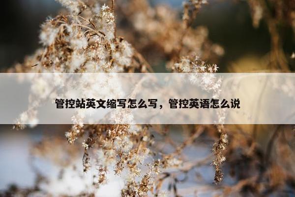 管控站英文缩写怎么写，管控英语怎么说