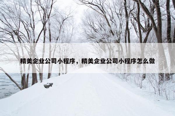 精美企业公司小程序，精美企业公司小程序怎么做