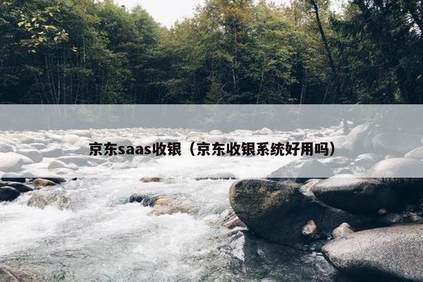 京东saas收银（京东收银系统好用吗）