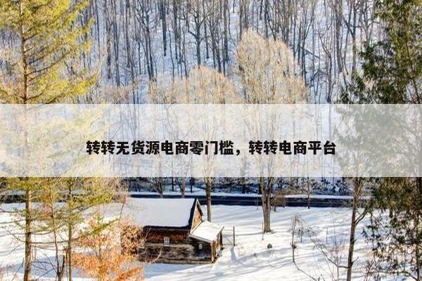 转转无货源电商零门槛，转转电商平台