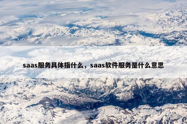 saas服务具体指什么，saas软件服务是什么意思
