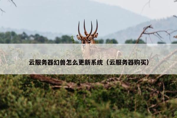 云服务器幻兽怎么更新系统（云服务器购买）