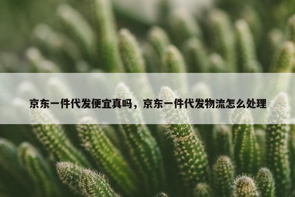 京东一件代发便宜真吗，京东一件代发物流怎么处理