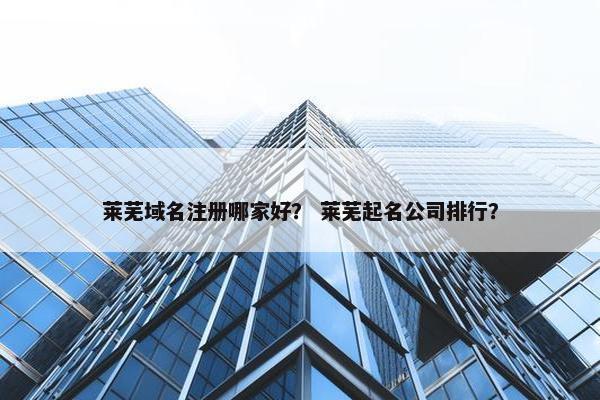 莱芜域名注册哪家好？ 莱芜起名公司排行？