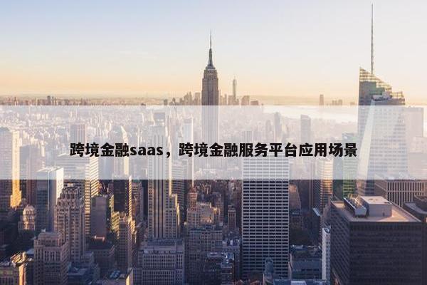 跨境金融saas，跨境金融服务平台应用场景