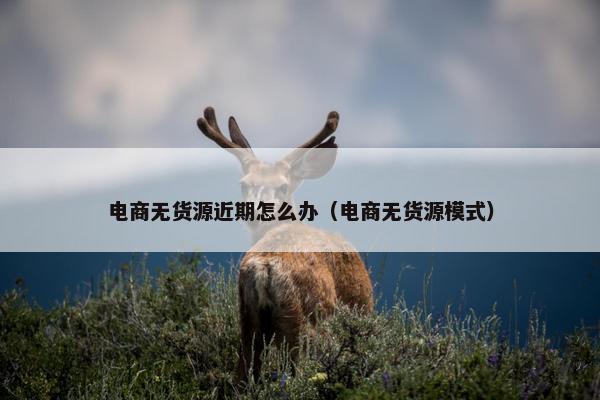 电商无货源近期怎么办（电商无货源模式）