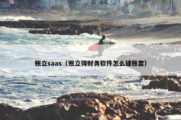 账立saas（账立得财务软件怎么建账套）