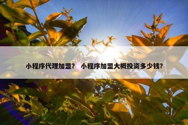 小程序代理加盟？ 小程序加盟大概投资多少钱？