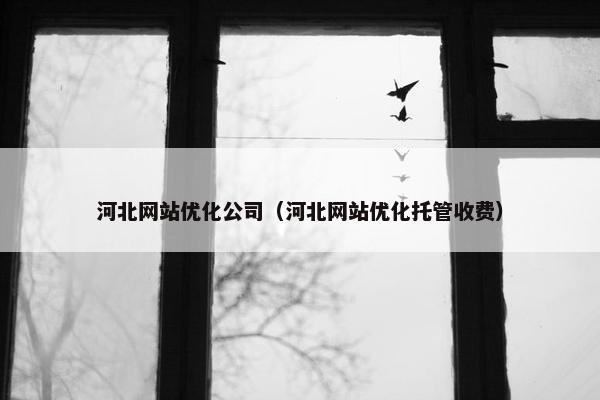 河北网站优化公司（河北网站优化托管收费）