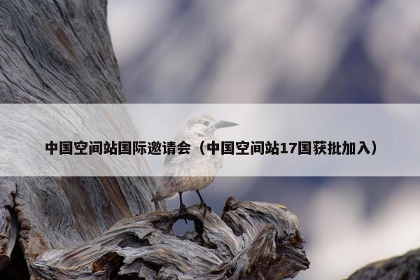 中国空间站国际邀请会（中国空间站17国获批加入）