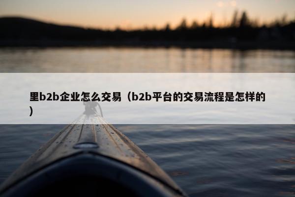 里b2b企业怎么交易（b2b平台的交易流程是怎样的）