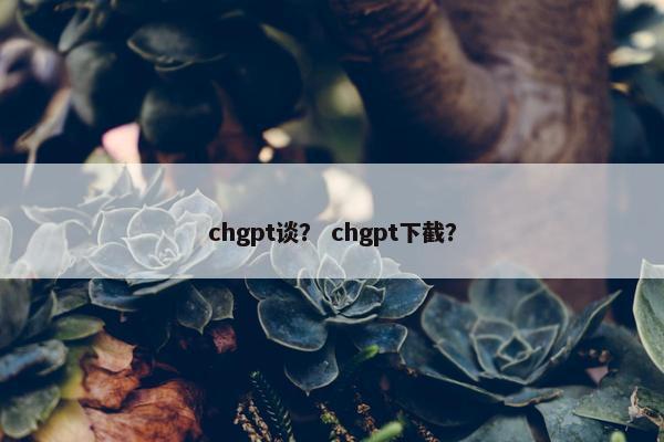 chgpt谈？ chgpt下截？