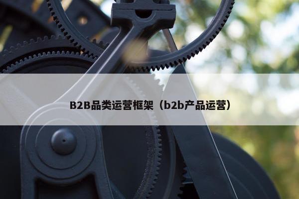 B2B品类运营框架（b2b产品运营）