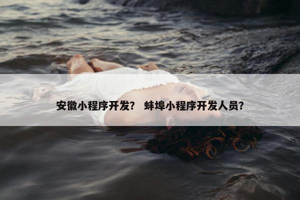安徽小程序开发？ 蚌埠小程序开发人员？