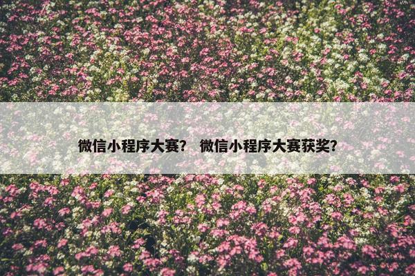 微信小程序大赛？ 微信小程序大赛获奖？