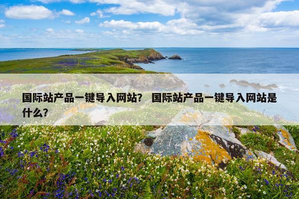 国际站产品一键导入网站？ 国际站产品一键导入网站是什么？