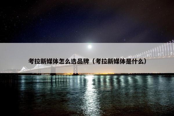 考拉新媒体怎么选品牌（考拉新媒体是什么）