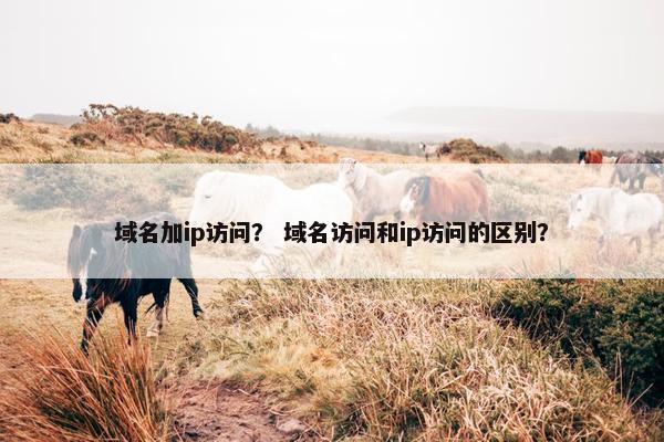 域名加ip访问？ 域名访问和ip访问的区别？