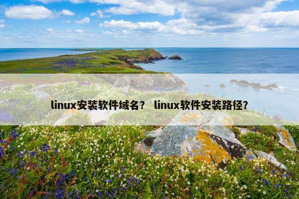 linux安装软件域名？ linux软件安装路径？