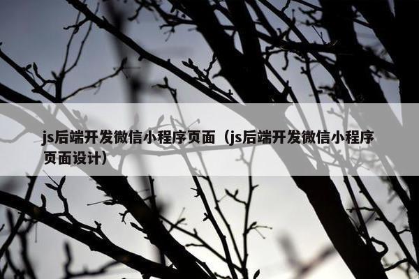 js后端开发微信小程序页面（js后端开发微信小程序页面设计）