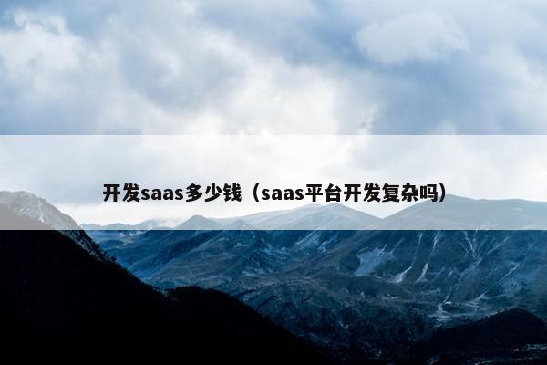 开发saas多少钱（saas平台开发复杂吗）
