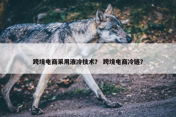 跨境电商采用液冷技术？ 跨境电商冷链？