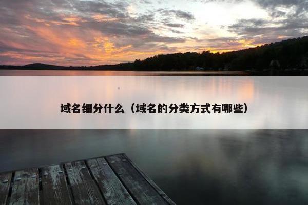 域名细分什么（域名的分类方式有哪些）
