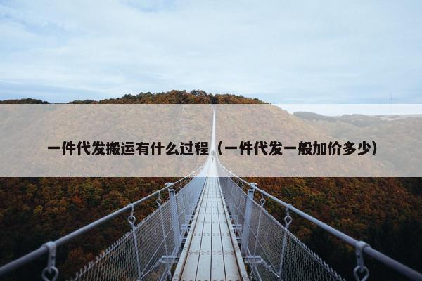一件代发搬运有什么过程（一件代发一般加价多少）