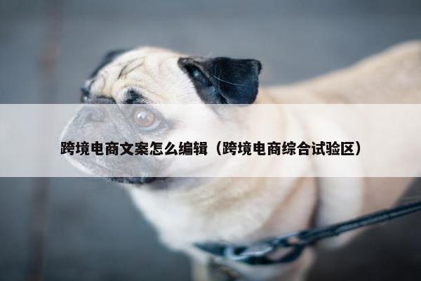 跨境电商文案怎么编辑（跨境电商综合试验区）