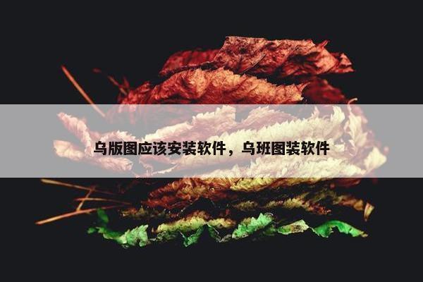 乌版图应该安装软件，乌班图装软件