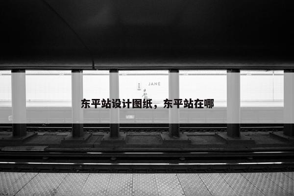 东平站设计图纸，东平站在哪