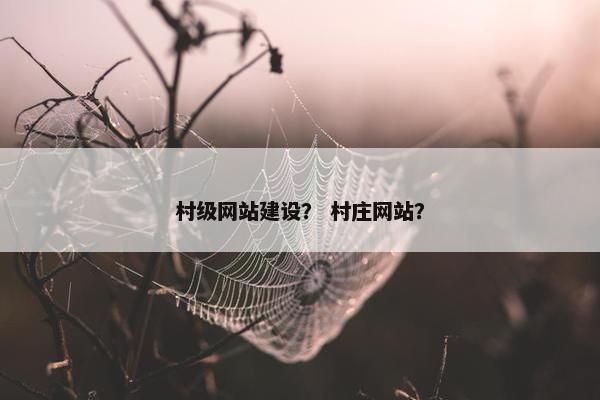 村级网站建设？ 村庄网站？