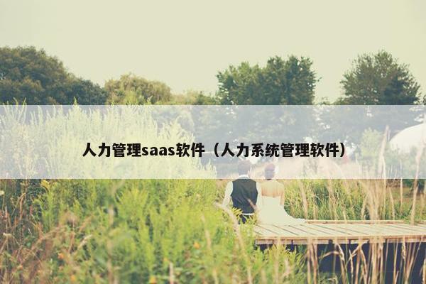人力管理saas软件（人力系统管理软件）